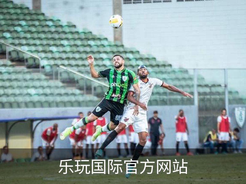 乐玩国际官方网站概况